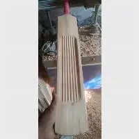 Short Handle Cricket Bat