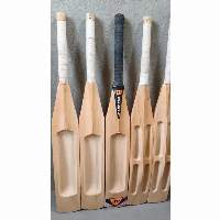 Kashmir Willow Mangoose Bat