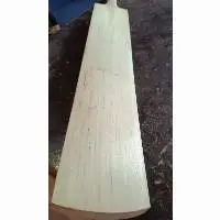 English Willow Cricket Leather Bat