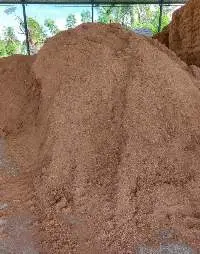 cocopeat