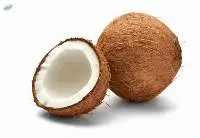 Coconut