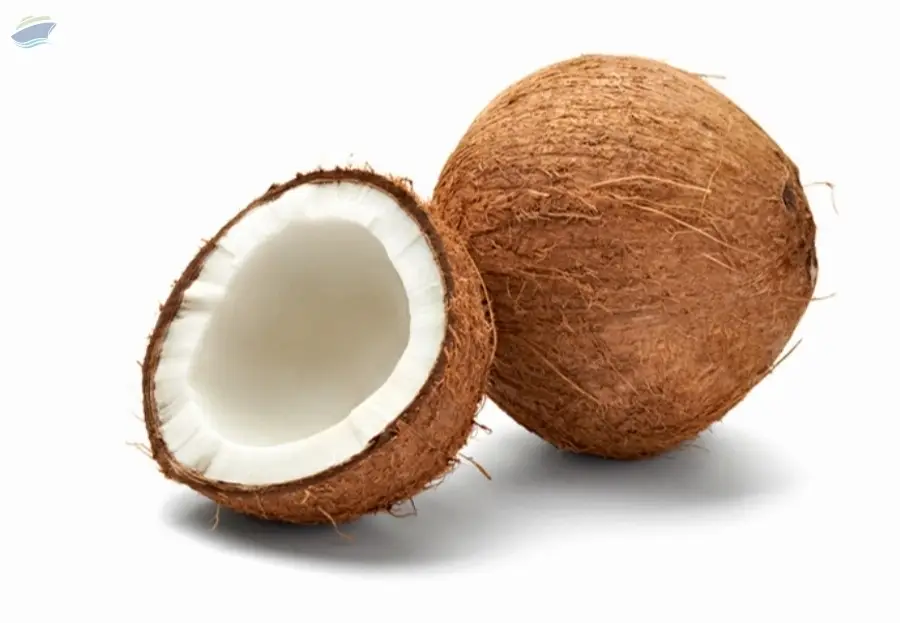 Coconut