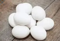 Egg