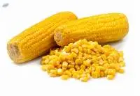 Corn