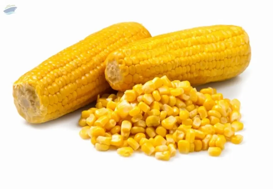 Corn