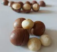 Macadamia Nuts  - New Season - Vietnam