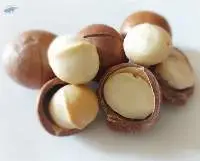 Macadamia Nuts