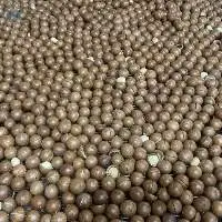 Dry Nut - Macadamia