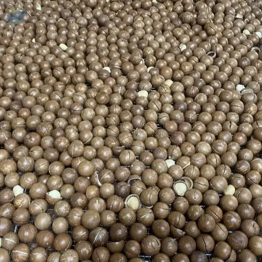 Dry Nut - Macadamia