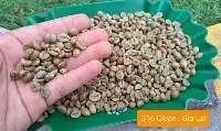 Robusta Clean S16