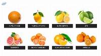 Fresh Citrus Fruits