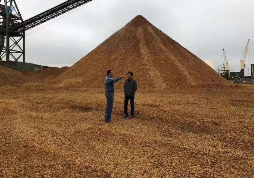 Pine Wood Chip by SMF Holdings Inc. . Supplier from United States. Product Id 1597198.