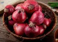 Onion