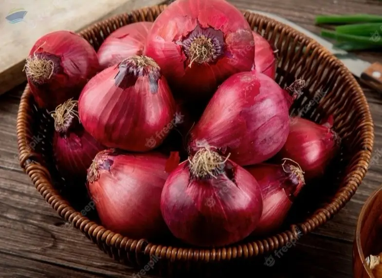 Onion
