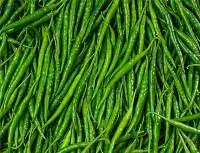 Green Chilly