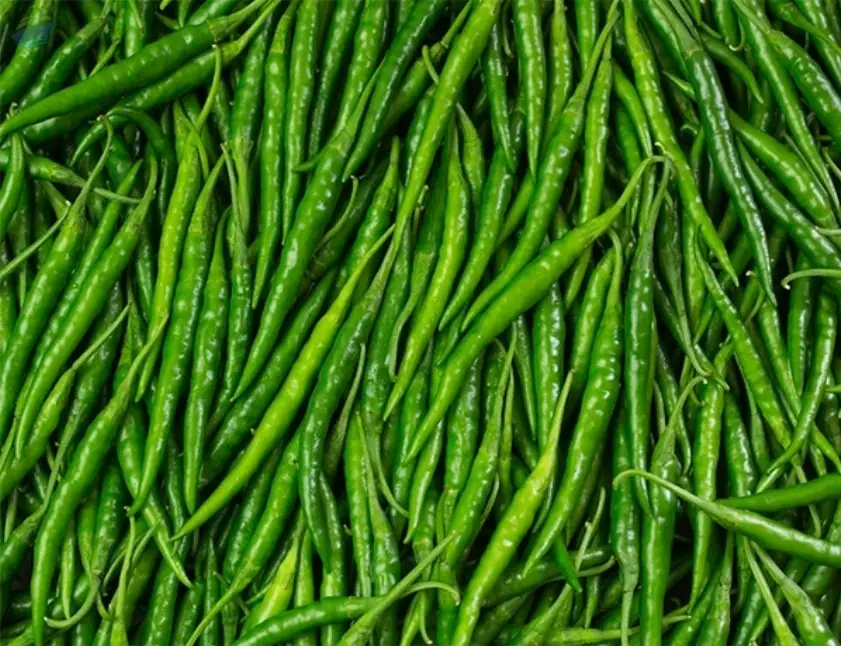 Green Chilly