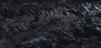 Coal