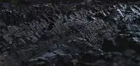 Coal