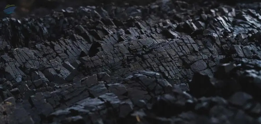 Coal