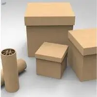 Corrugated Box & Paper Bag