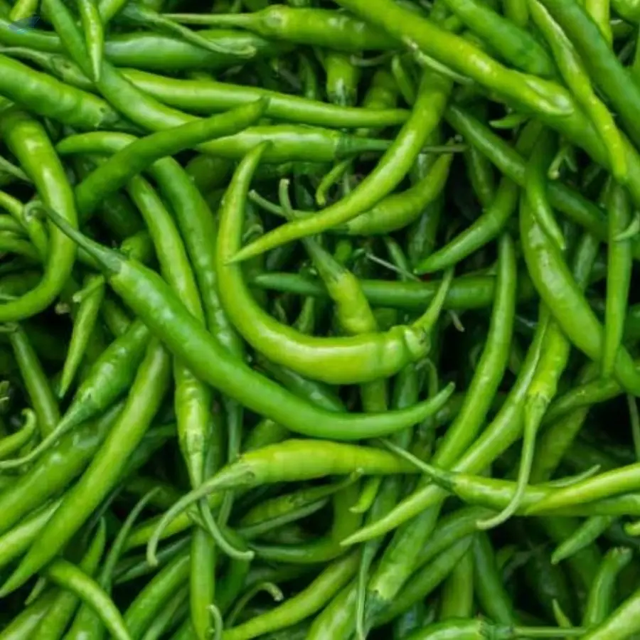 Green Chilli