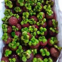 Fresh Mangosteen