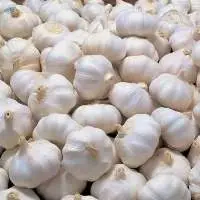 Fresh Thai Garlic