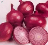 Fresh Oinions