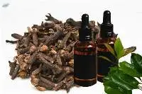 Clove Oil