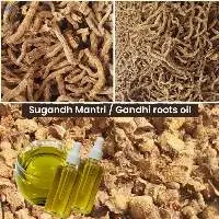 Sugandh Mantri / Gandhi Roots Oil