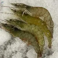 Frozen White Shrimps (P. Vannamei)