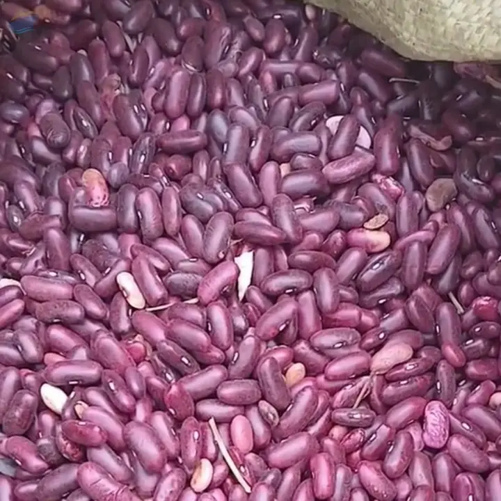 Red Beans
