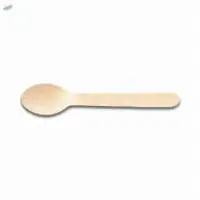 Wooden Disposable Spoon