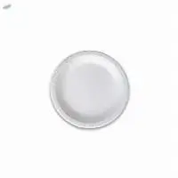 Disposable Plate Small 6" - Standard White