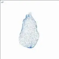 Net Bags