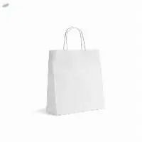Paper Bag (Shopping Bag)