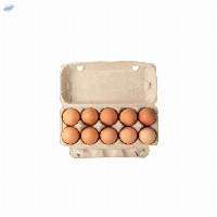 Egg Boxes pack of 12
