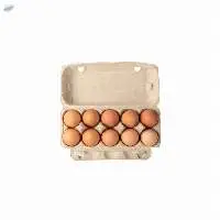 Egg Boxes pack of 12
