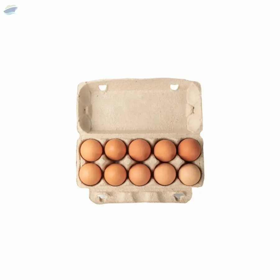 Egg Boxes pack of 12