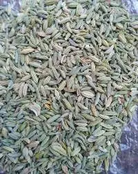 Fennel Seeds Green