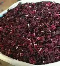 Hibiscus Flowers