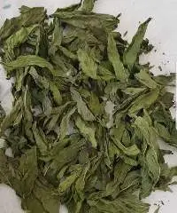 Spearmint