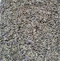 Thyme