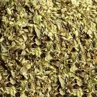 Oregano