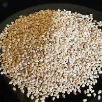 Sesame Seeds