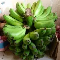Matoke Bananas