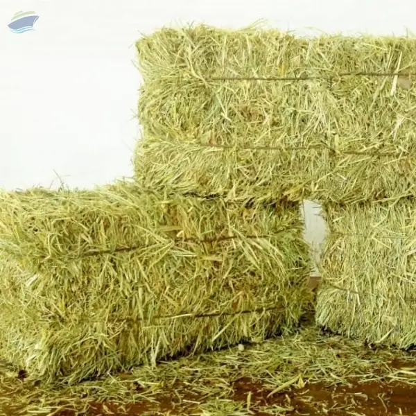 Rhodesgrass