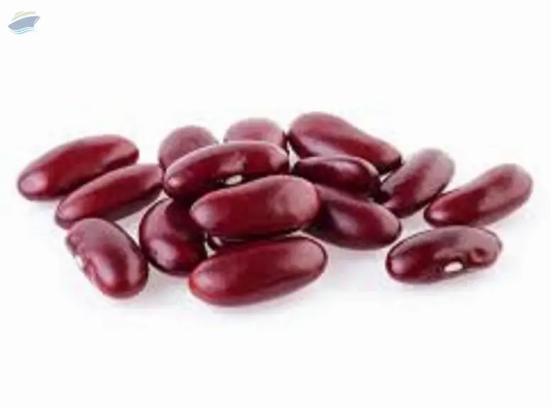 Red Kidney beans