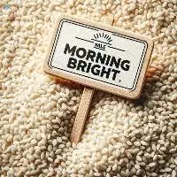 Premium Sudanese Sesame 2024/2025 harvest
