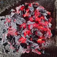 Coconut Shell Charcoal
